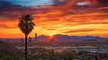 cactus phoenix arizona sunset Royalty Free Stock Photo