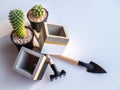 Cactus plant in black plastic pot with empty modern cubic concrete planters and garden tool set