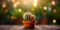 Cactus plant blurred beauty photo, copy space background