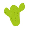 Cactus plant desert flora botanic icon flat style