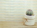 Cactus plant with home decoration Royalty Free Stock Photo