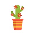 Cactus plant icon flat isolated vector Royalty Free Stock Photo