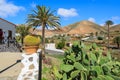 Cactus plant and palm trees in Betancuria village with mountains view, Fuerteventura, Canary Islands, Spain Royalty Free Stock Photo