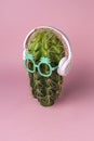  Cactus Plant Headphones