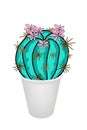 Cactus Plant and Pink Flower in A Flowerpot