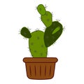 Cactus plant pot icon cartoon vector. Care office window Royalty Free Stock Photo