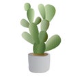 Cactus Plant with pot