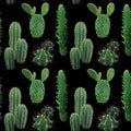 Cactus Plant Seamless Pattern. Exotic Tropical Summer Botanical Background. Royalty Free Stock Photo