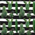 Cactus Plant Seamless Pattern. Exotic Tropical Summer Botanical Background. Royalty Free Stock Photo