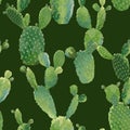 Cactus Plant Seamless Pattern. Exotic Tropical Summer Botanical Background Royalty Free Stock Photo