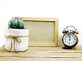 Cactus plant with space photo frame and alarm clock home decoration Royalty Free Stock Photo