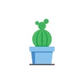 Cactus plant vector illustration