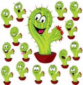 Cactus plant vector illustration