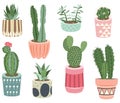 Cactus Plants Collections Royalty Free Stock Photo