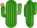 cactus pool float. cactus shaped pool raft. isolated inflatable mattress top and side view