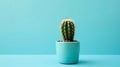 Cactus in a pot on a blue background with copy space, Generative AI illustrations