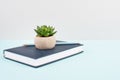 Cactus in a pot on a blue and grey background, minimalistic decoration, plant stands on a book at the desk, copy space for text