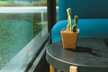 cactus pot & blue sofa near window in living room Royalty Free Stock Photo