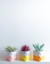 Cactus pot. Concrete pot. Modern geometric concrete planter