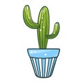 Cactus in a pot, green home plant icon Royalty Free Stock Photo