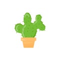 Cactus in a pot. A green succulent. Flat cartoon illustration isolated on a white background