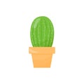 Cactus in a pot. A green succulent. Flat cartoon illustration isolated on a white background