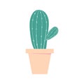 Cactus pot. Home cute plant. Isolated color illustration.