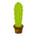 Cactus in a pot. House plant. Green succulent. Flat cartoon illustration