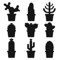 cactus in a pot. Icon of cactus flower. Desert plant.