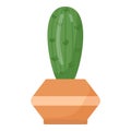 Cactus pot icon cartoon vector. House plant flower Royalty Free Stock Photo