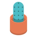 Cactus pot icon, isometric style