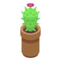 Cactus pot icon isometric vector. Desert grass