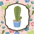 Cactus on pot over desert plants background Royalty Free Stock Photo