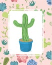 Cactus on pot over desert plants background Royalty Free Stock Photo