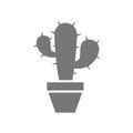 Cactus in a pot vector icon Royalty Free Stock Photo