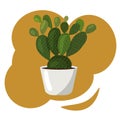 Cactus In A Pot. Vector image in a flat style.