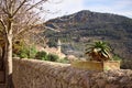 Cactus in a pot on a wall, church, trees and hill in background in Valldemossa, mallorca, spain