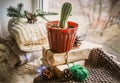 cactus in a pot at windowsill . cozy zero waste Christmas with recycled decor. Soft knitted scarves and hand-wrapped Royalty Free Stock Photo