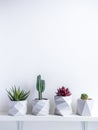 Cactus pot. Concrete pot. Modern geometric concrete planter