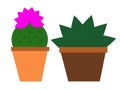 Cactus potted - Succulents - cartoon - vector illlustration