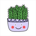 Cactus in purple doodle-style pot