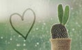 Cactus on a rainy day with handwriting heart shape on water drop at window background. drops of rain on window glass background