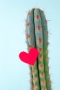 Cactus and red heart on it, the concept of contradictory feelings, cruel love, unapproachable heart. Minimalism, the ultimate. Royalty Free Stock Photo