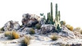 Cactus and Rocks Thrive in Desert Landscape with Arid Beauty Royalty Free Stock Photo