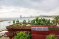 Cactus on the roof of a building. Green gardening. View on the beach