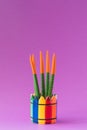 Cactus Sansevieria Velvet Touch Isolated in bright colorful rainbow pot on the ultraviolet background