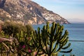 Cactus with Scenic view from Positano on coastal town Praiano on the Amalfi Coast in the Provice of Salerno in Campania, Italy Royalty Free Stock Photo