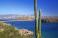 Cactus, sea and mountains in baja california sur, mexico Royalty Free Stock Photo