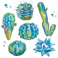 Cactus set in watercolor style.