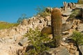 Piestewa / Squaw Peak